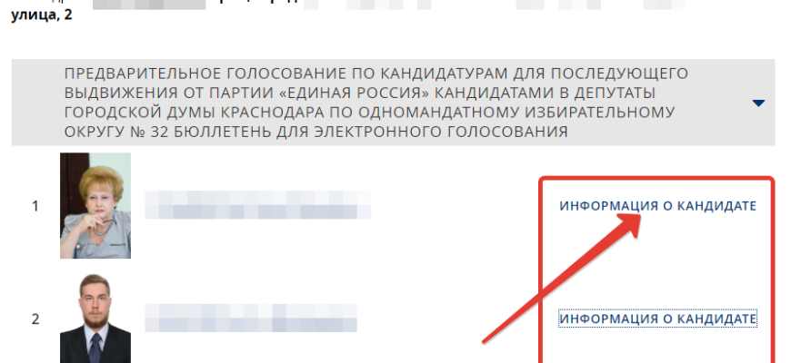 Госуслуги система дистанционного электронного голосования
