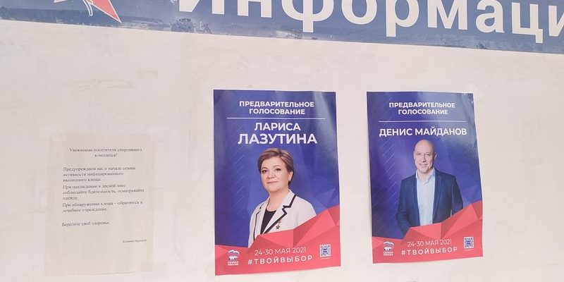 Предварительное голосование плакаты