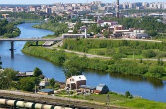 Дистанционное электронное голосование эссе