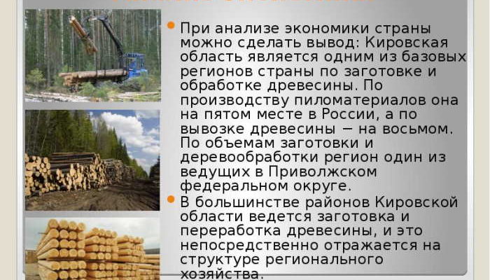 Экономическая специализация кировской области