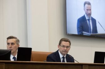 Через госуслуги
