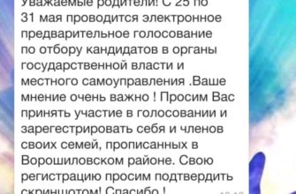 Чем лучше электронное голосование